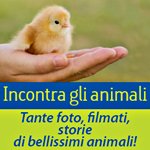 banner150x150
